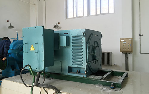 乐陵某水电站工程主水泵使用我公司高压电机